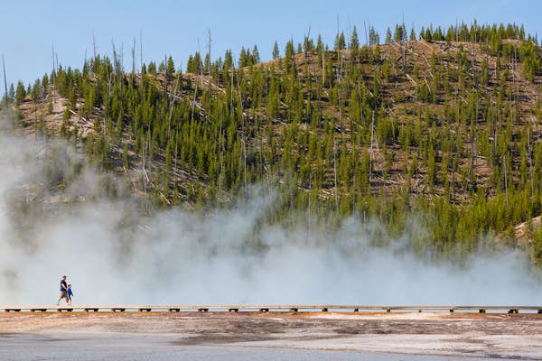 8 things to do in Yellowstone National Park with kids