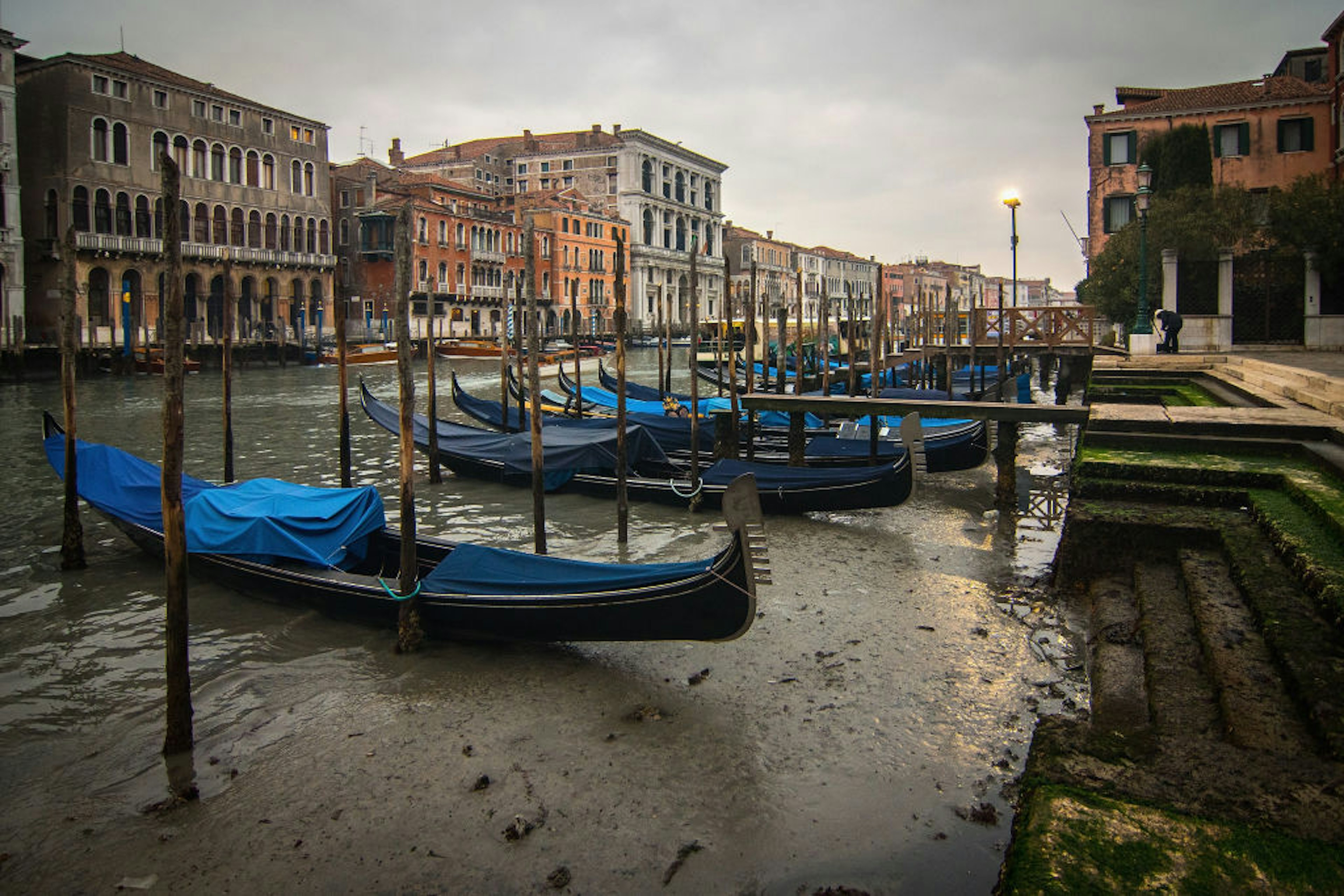 Gondolas are stucked along the Grand Canal near Rialto bridge because of an exceptional low tide.