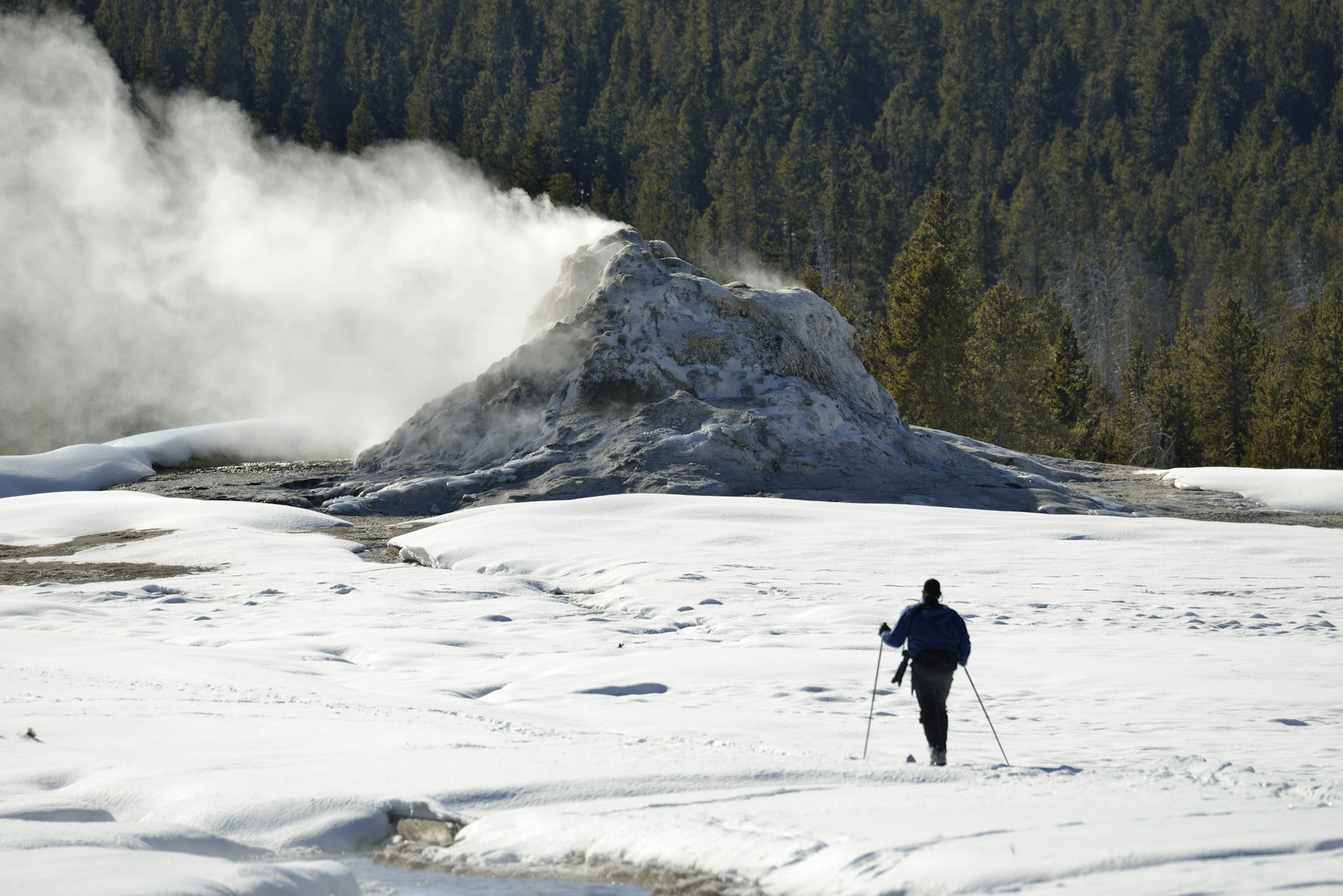 A man on skis heads through the snow towards a geyser