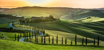 Item photo for undefined