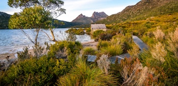 Item photo for undefined