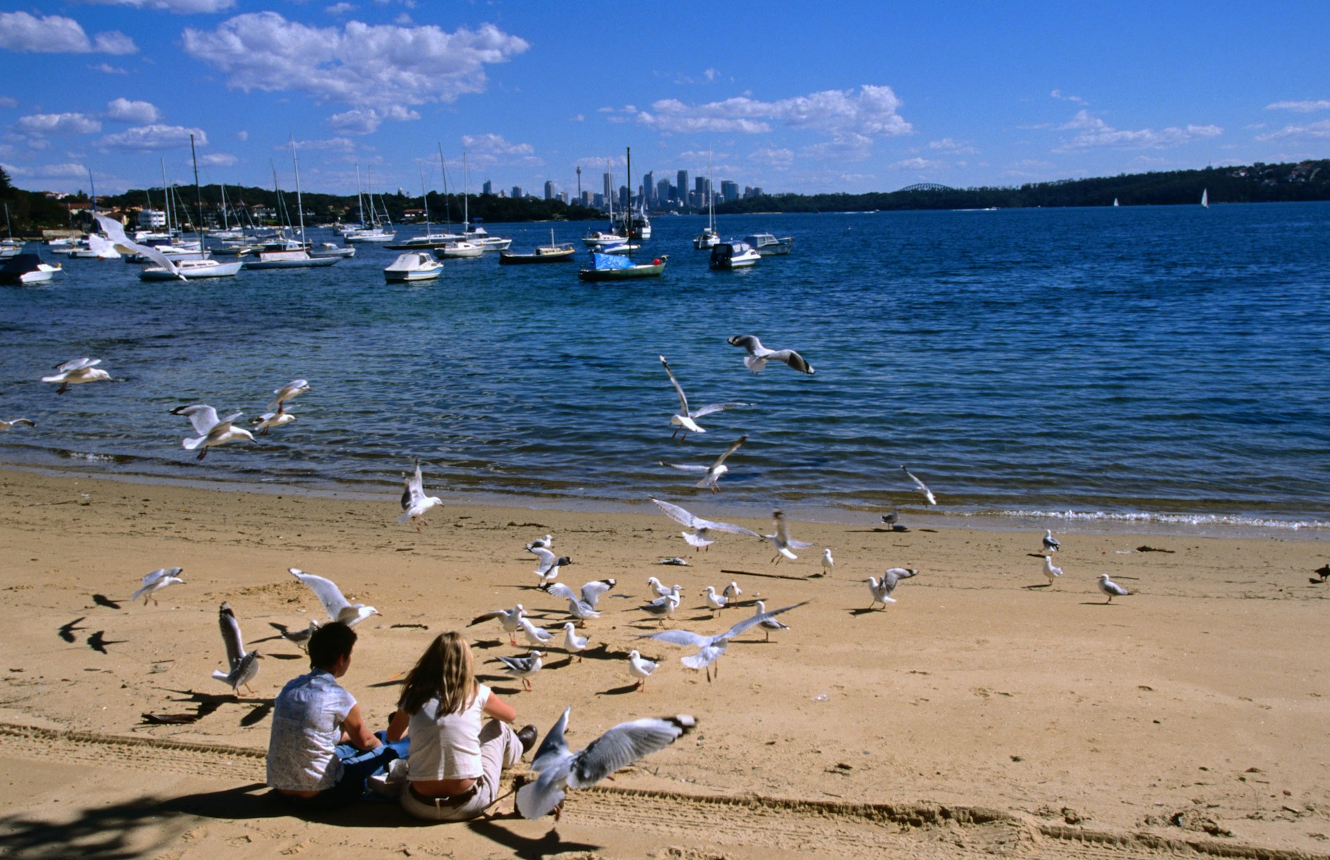 Two people look out at the water and the skyline on a beach with seagulls, Watsons Bay, Sydney, Australia