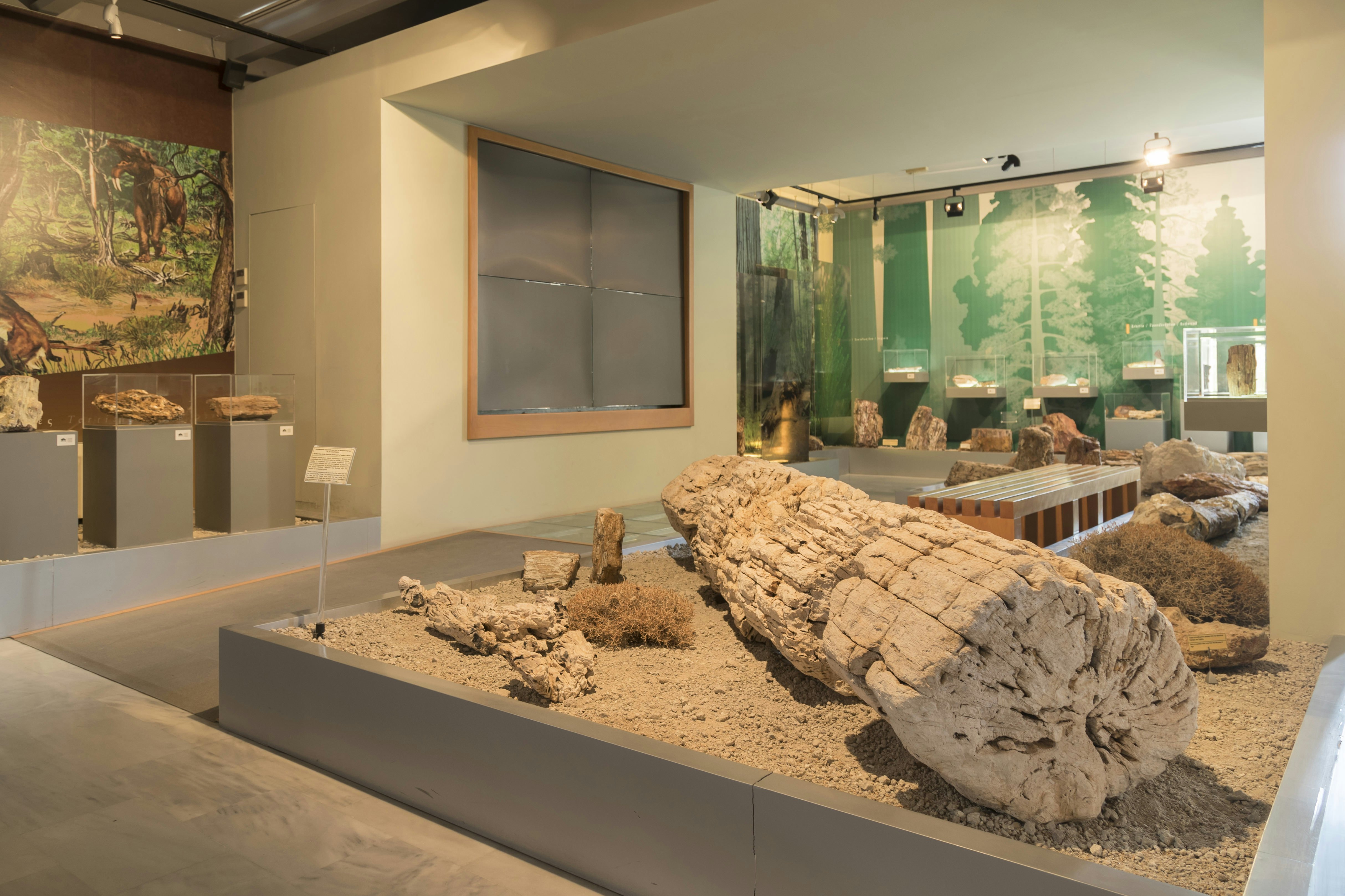 Lonely Planet Traveller Magazine, Issue 113, May 2018, Greece, Greek Islands, Aegean Sea, Lesvos
The petrified remains of ancient trees at the Natural History Museum of the Lesvos Petrified Forest.