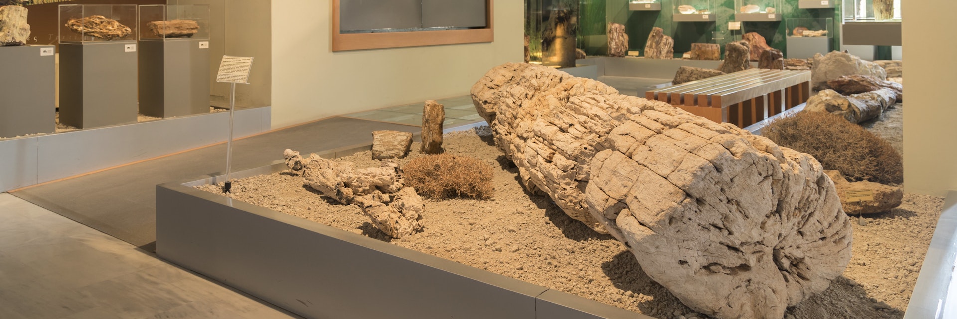 Lonely Planet Traveller Magazine, Issue 113, May 2018, Greece, Greek Islands, Aegean Sea, Lesvos
The petrified remains of ancient trees at the Natural History Museum of the Lesvos Petrified Forest.