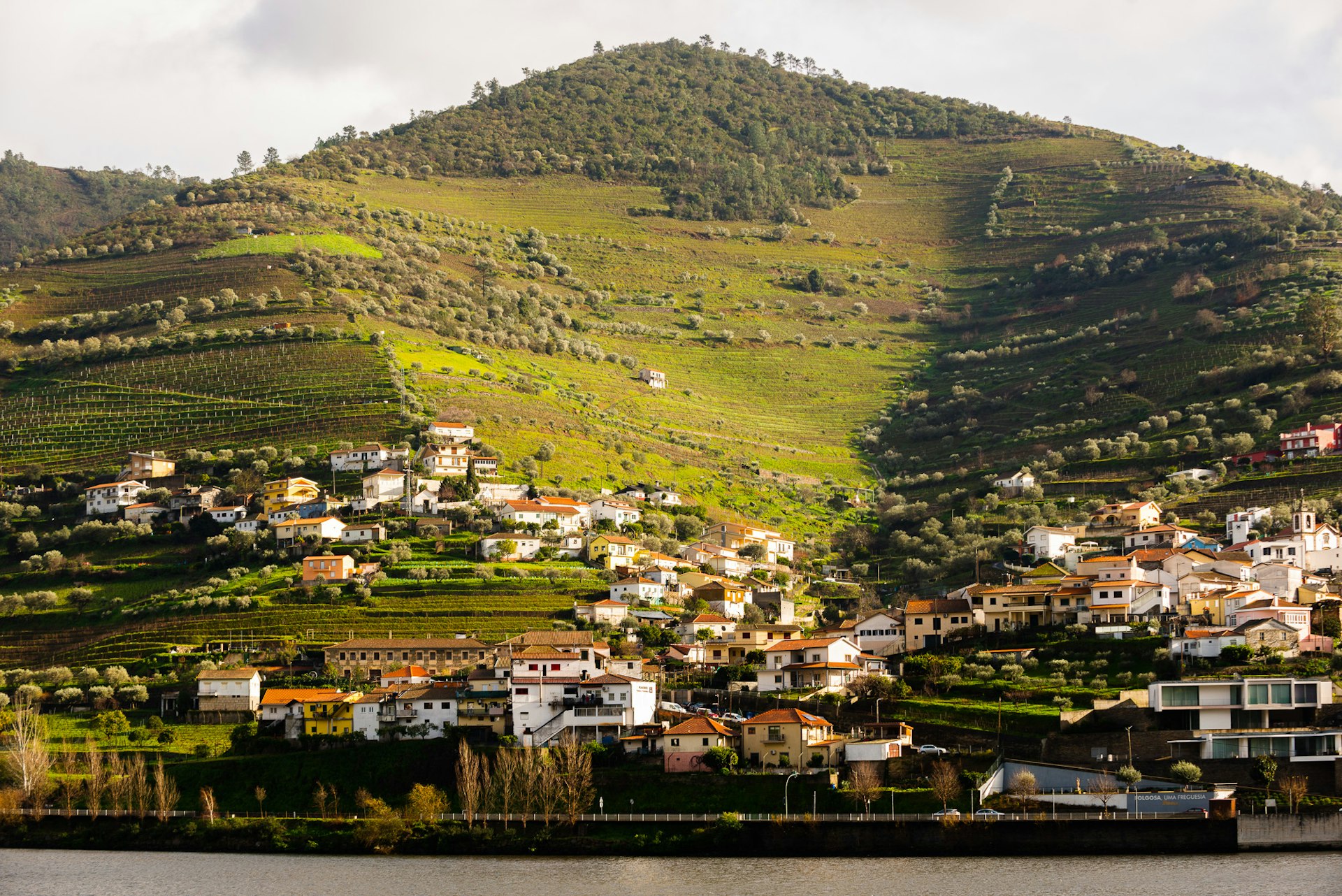 Houses built into the side of a hill beside a river