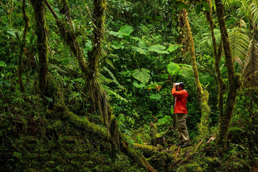 The 6 best road trips in Panama - Lonely Planet