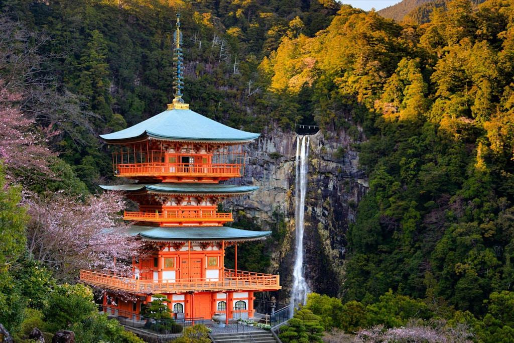The Seiganto-ji pagoda and Nachi falls with cherry tree blooming at spring