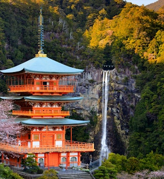 The Seiganto-ji pagoda and Nachi falls with cherry tree blooming at spring