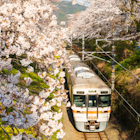 Japan train