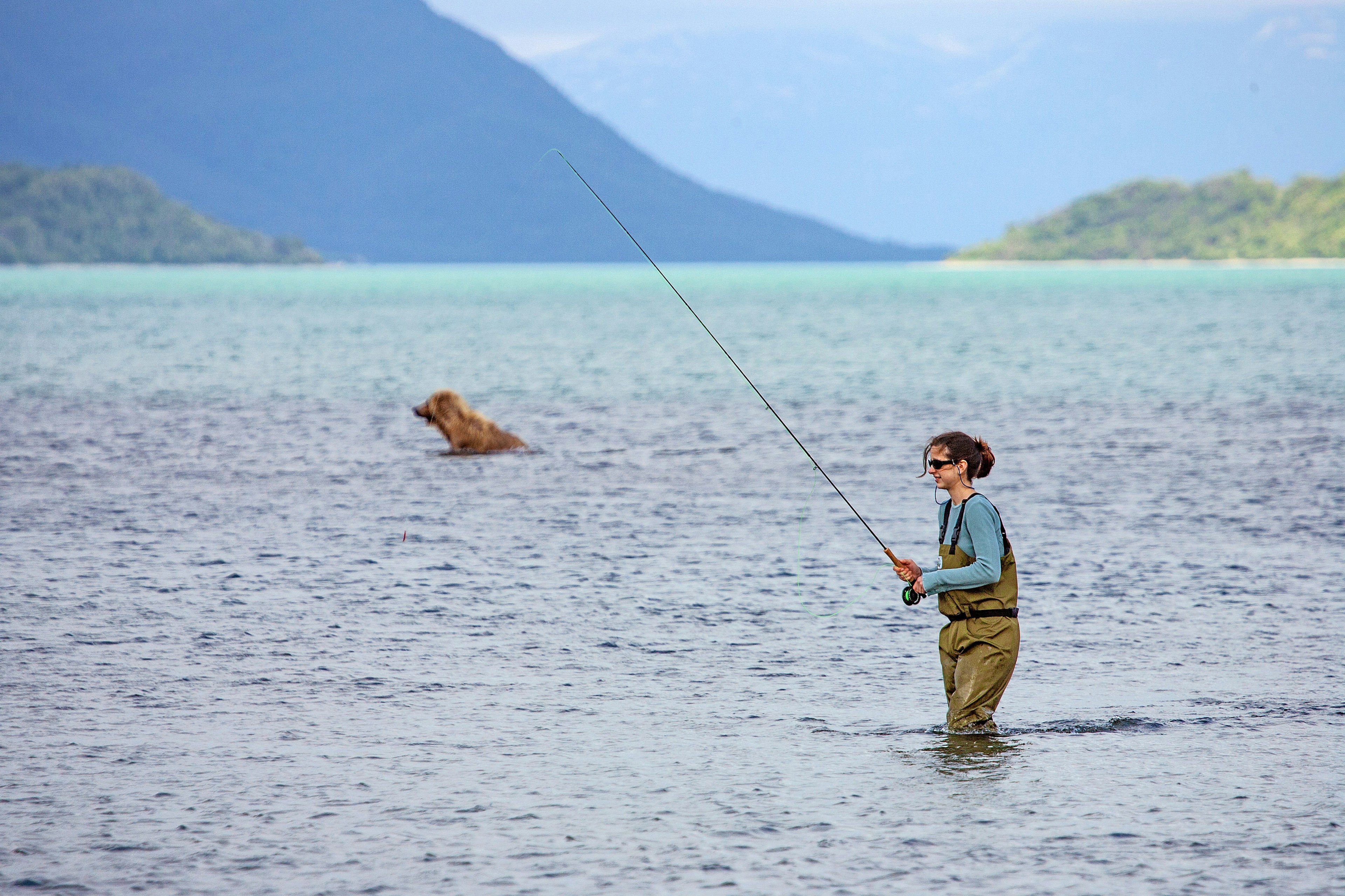 A woman fishing for salmon with a swimming bear in the background.