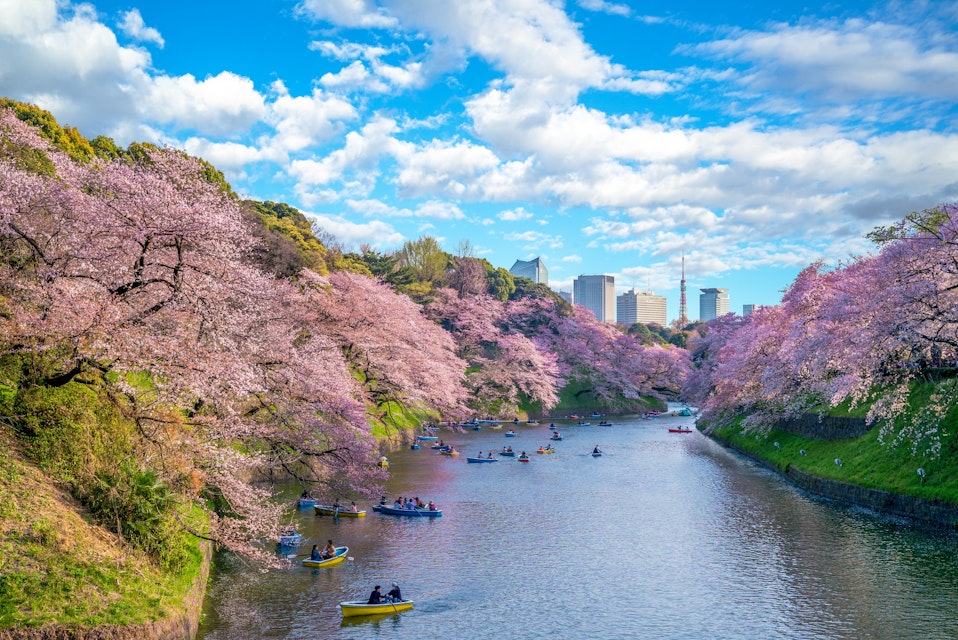 20 Best Things to Do in Tokyo - What is Tokyo Most Famous For? – Go Guides