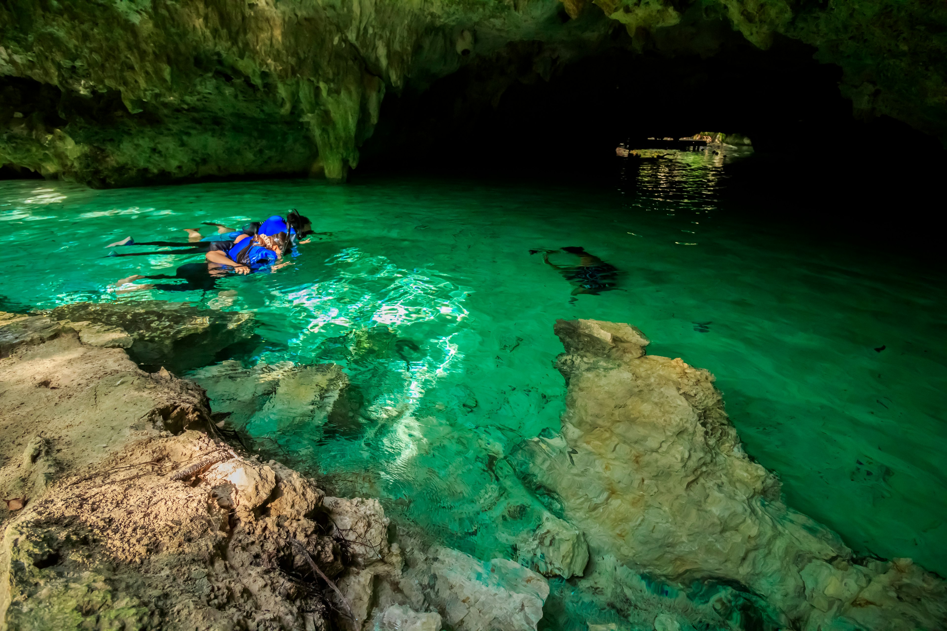 Snorkelers swimming in a cenote in a cave with green water
