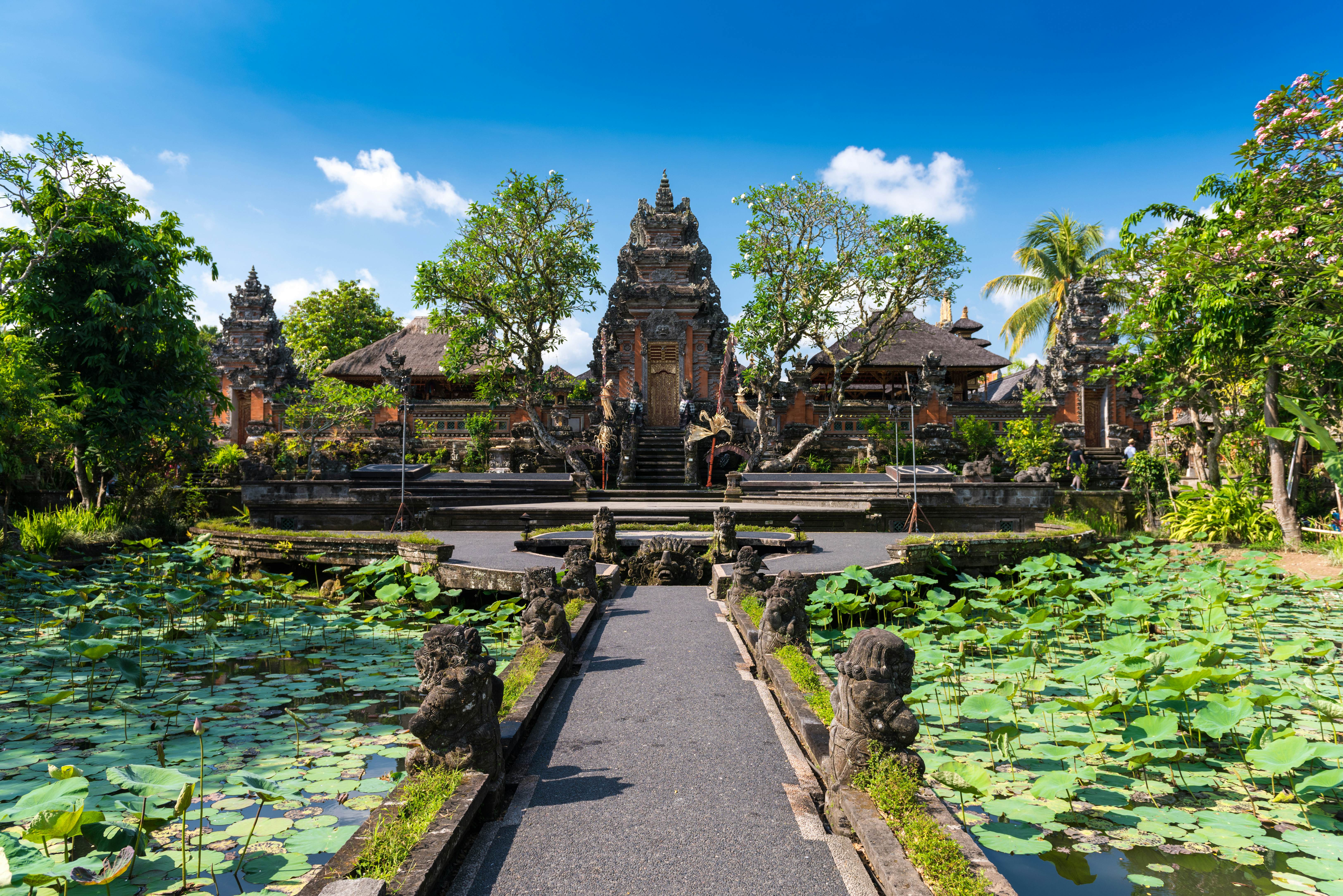 Ubud travel - Lonely Planet | Indonesia, Asia