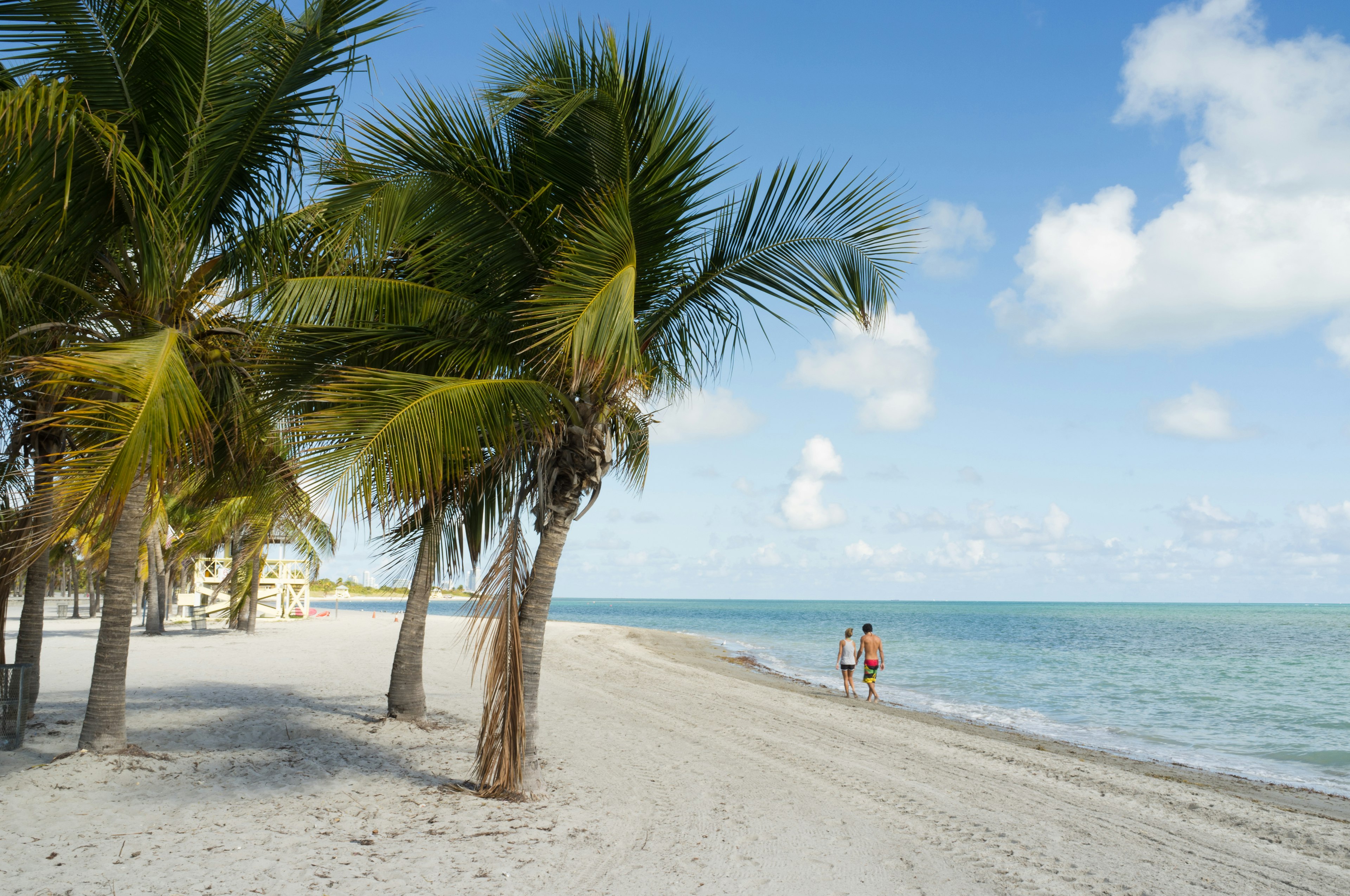 A couple in the distance, walking along a white-sand beach with palm trees