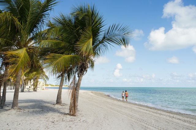 A couple in the distance, walking along a white-sand beach with palm trees