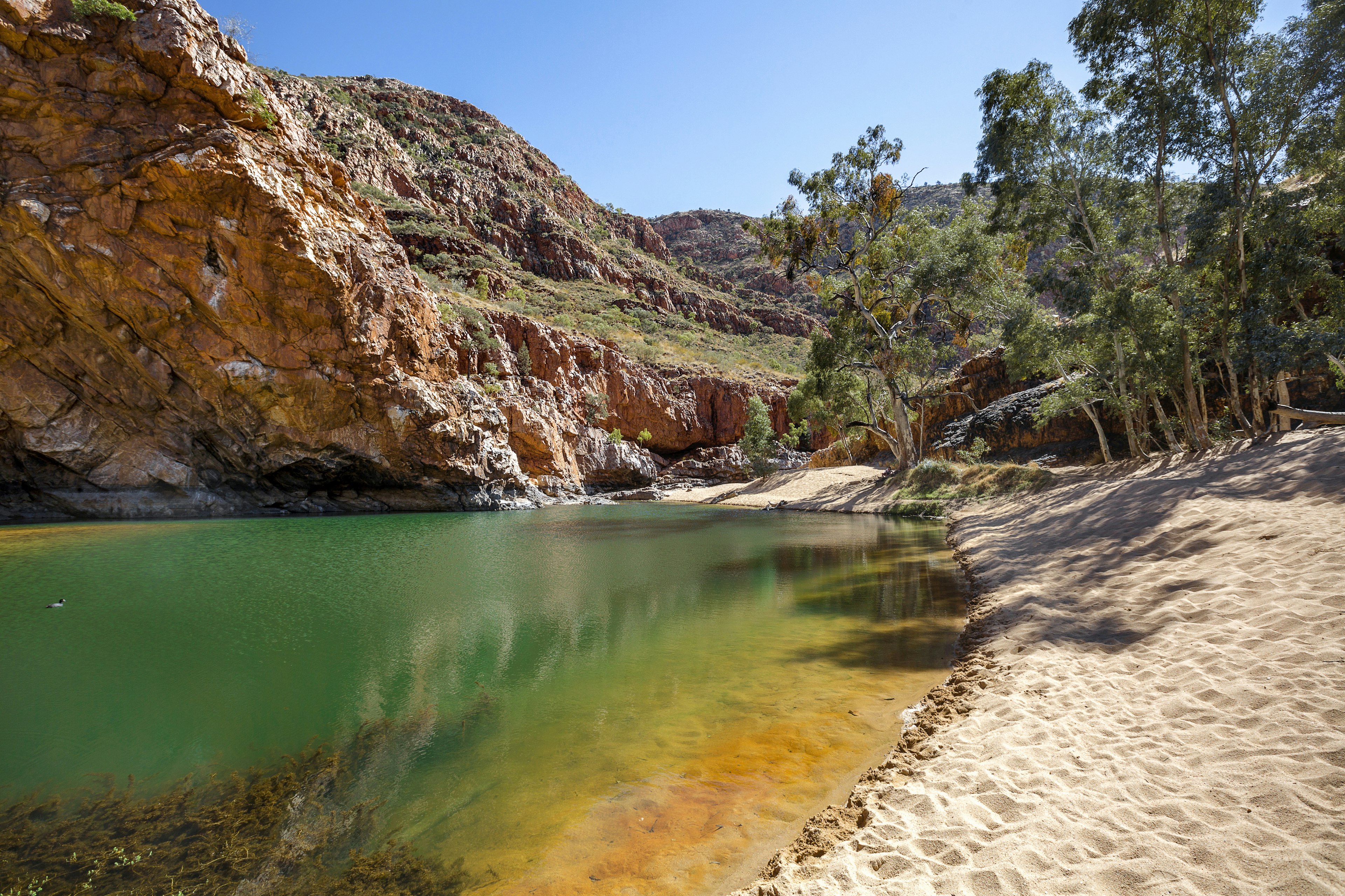 A blue-green waterhole lined by a white-sand beach