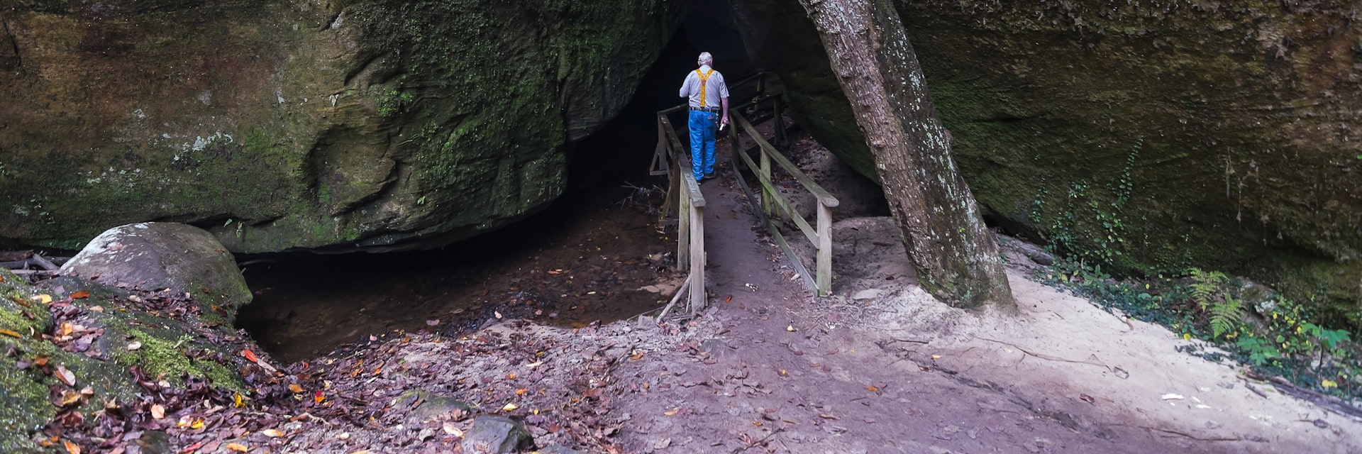 A man hiking at Dismals Canyon in Franklin County, Alabama.
M5RD2F
hiking, leisure, peaceful, rock, trail, tranquil, formations, outdoors, nature, walking, enjoying nature, one person, man