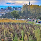 Beaujolais Wine Marathon - run through vineyards.jpg