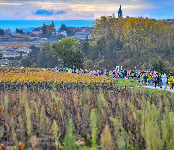 Beaujolais Wine Marathon - run through vineyards.jpg