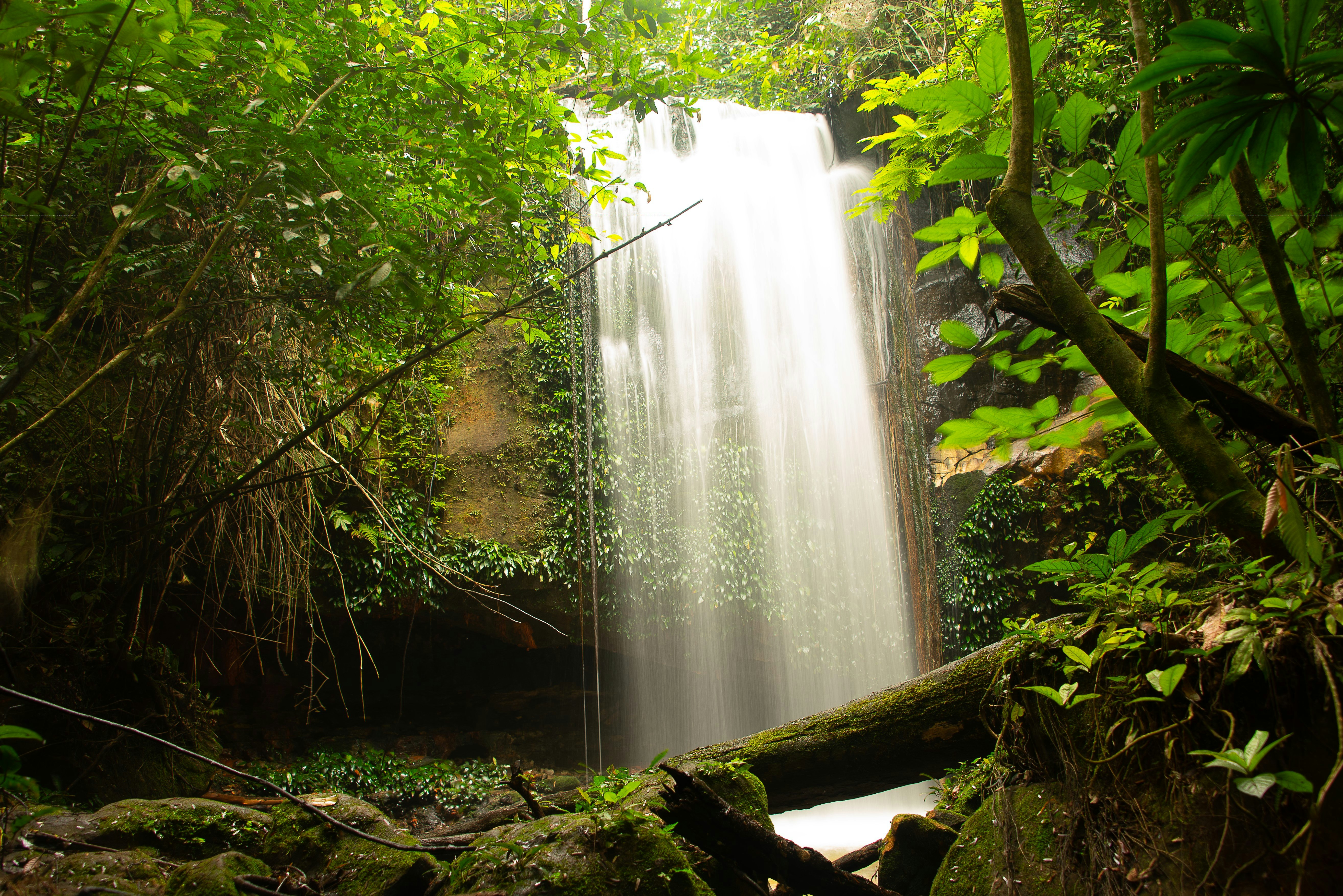 A waterfall in a lush forest in Gabon. 
