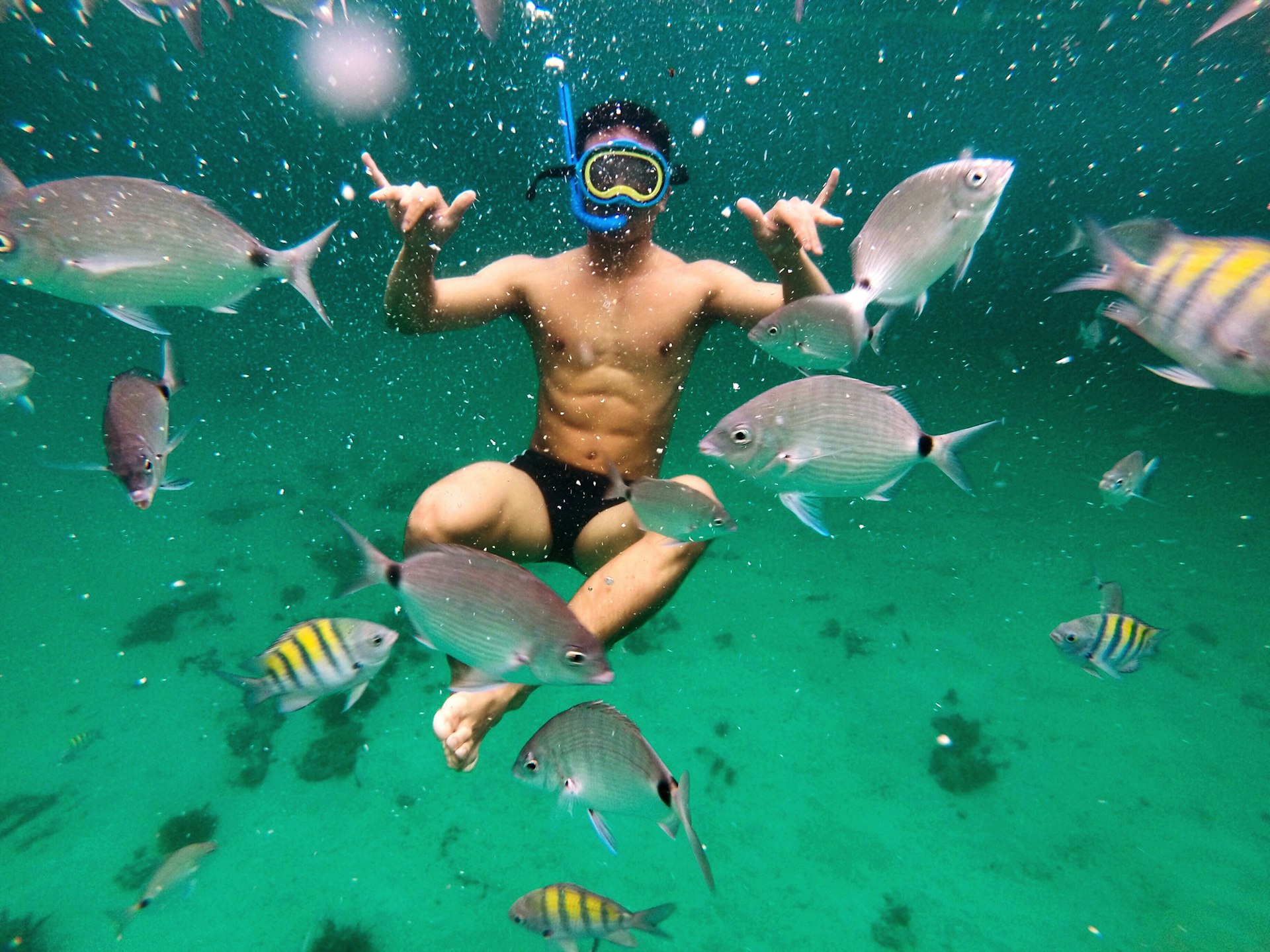 A man snorkelling underwater in Brazil shows his delight amongst a school of small striped fish