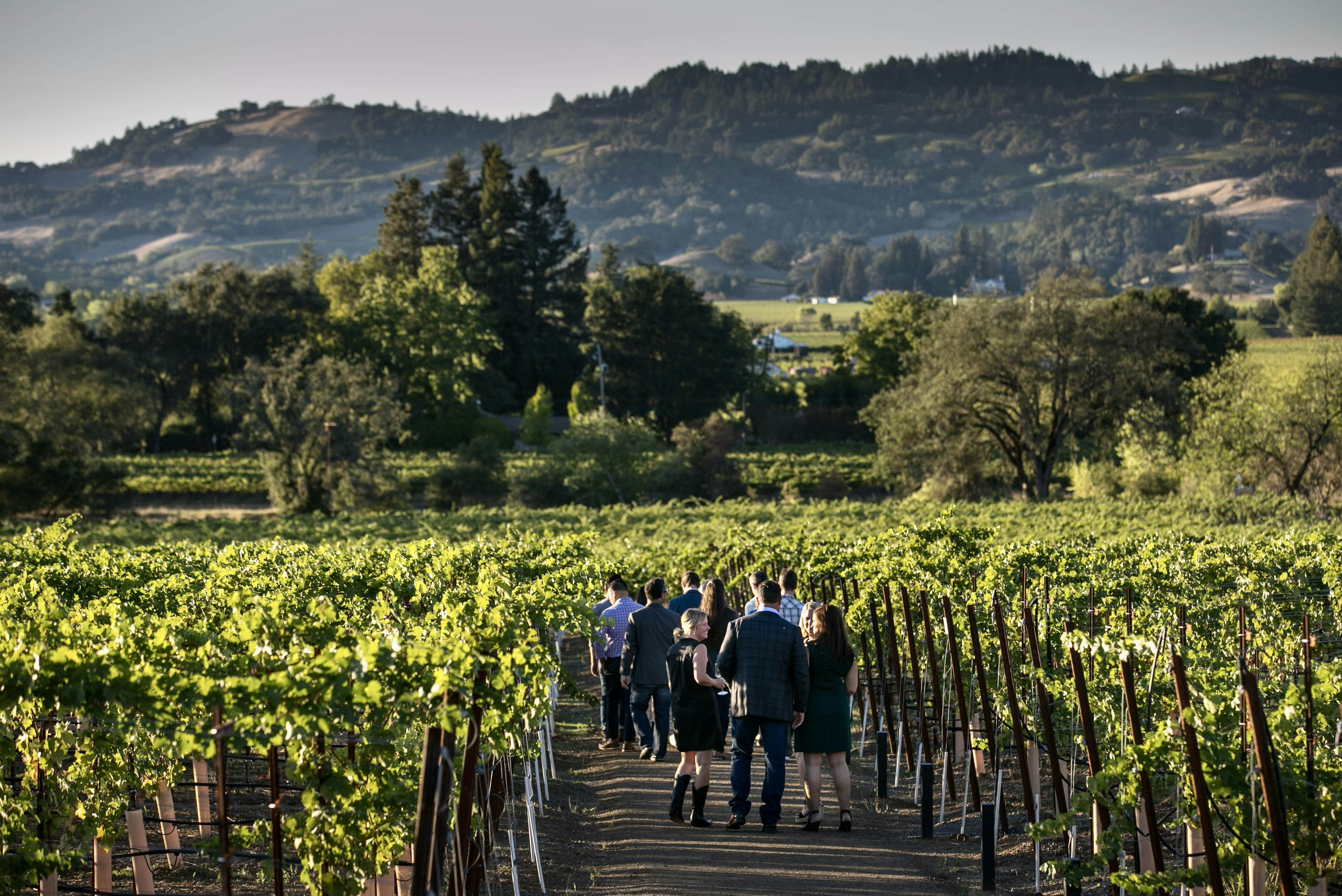 Best Wine Road Trips in the U.S.