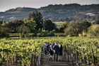 HEALDSBURG, CA - OCTOBER 7:  A group of sommeliers tour the vineyards at Silver Oak Cellars winery on October 7, 2018, near Healdsburg, California. A cool spring and mild summer have contributed to a later-than-usual harvest and a bumper crop of premium wine grapes throughout the state of California. (Photo by George Rose/Getty Images)
1055917978
western landscape, scenic, destination, food and wine, west coast, global warming, water use, grapes, farming, sustainability, cabernet sauvignon, leed certified
