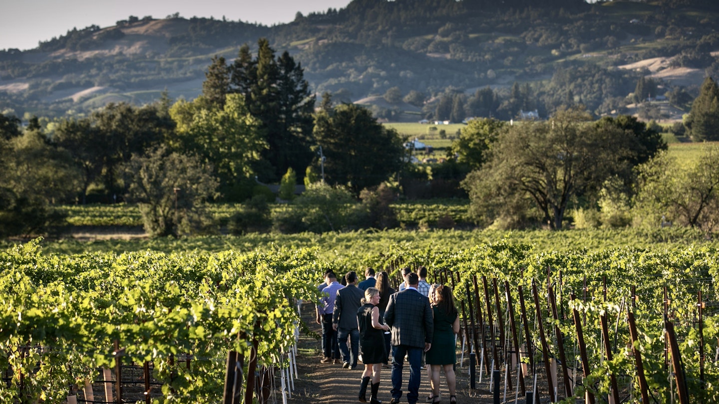HEALDSBURG, CA - OCTOBER 7:  A group of sommeliers tour the vineyards at Silver Oak Cellars winery on October 7, 2018, near Healdsburg, California. A cool spring and mild summer have contributed to a later-than-usual harvest and a bumper crop of premium wine grapes throughout the state of California. (Photo by George Rose/Getty Images)
1055917978
western landscape, scenic, destination, food and wine, west coast, global warming, water use, grapes, farming, sustainability, cabernet sauvignon, leed certified