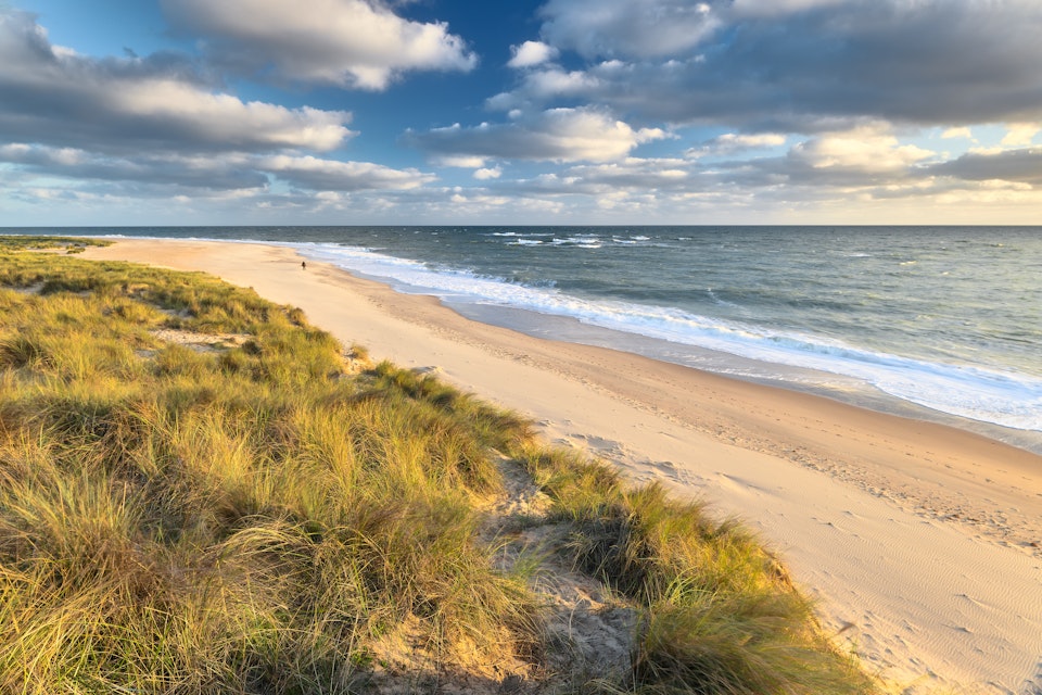 Early morning sunshine illuminates the sand dunes and marram grass on the coast at Winterton on Sea.
