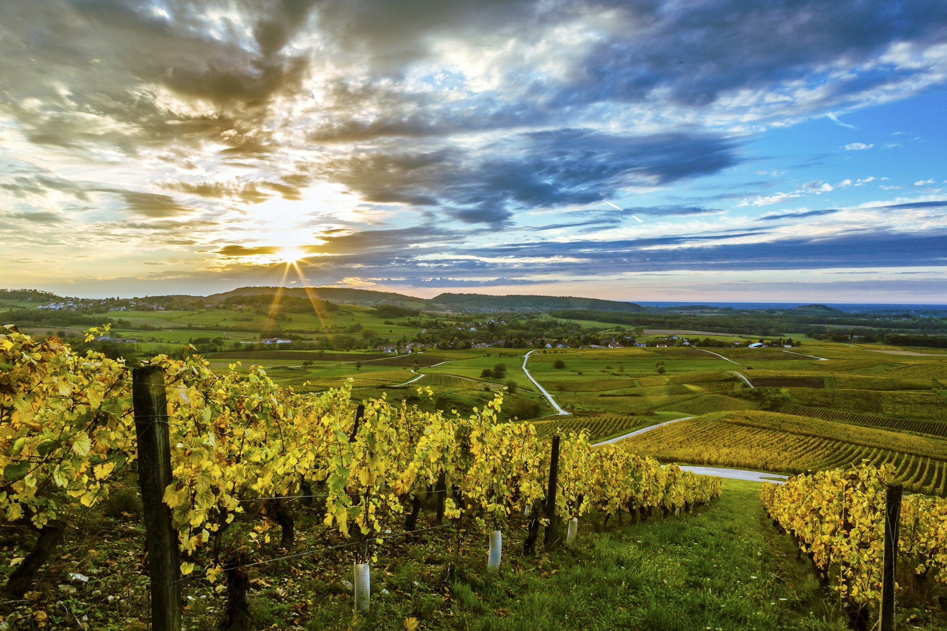 A beautiful sunset over hills covered in vineyards in the Jura