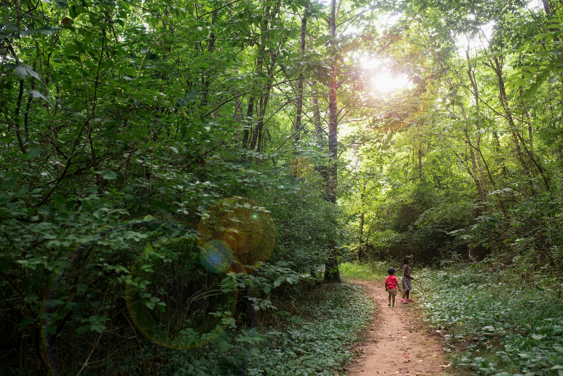 Two small children follow a trail through green woodland on a summer's day