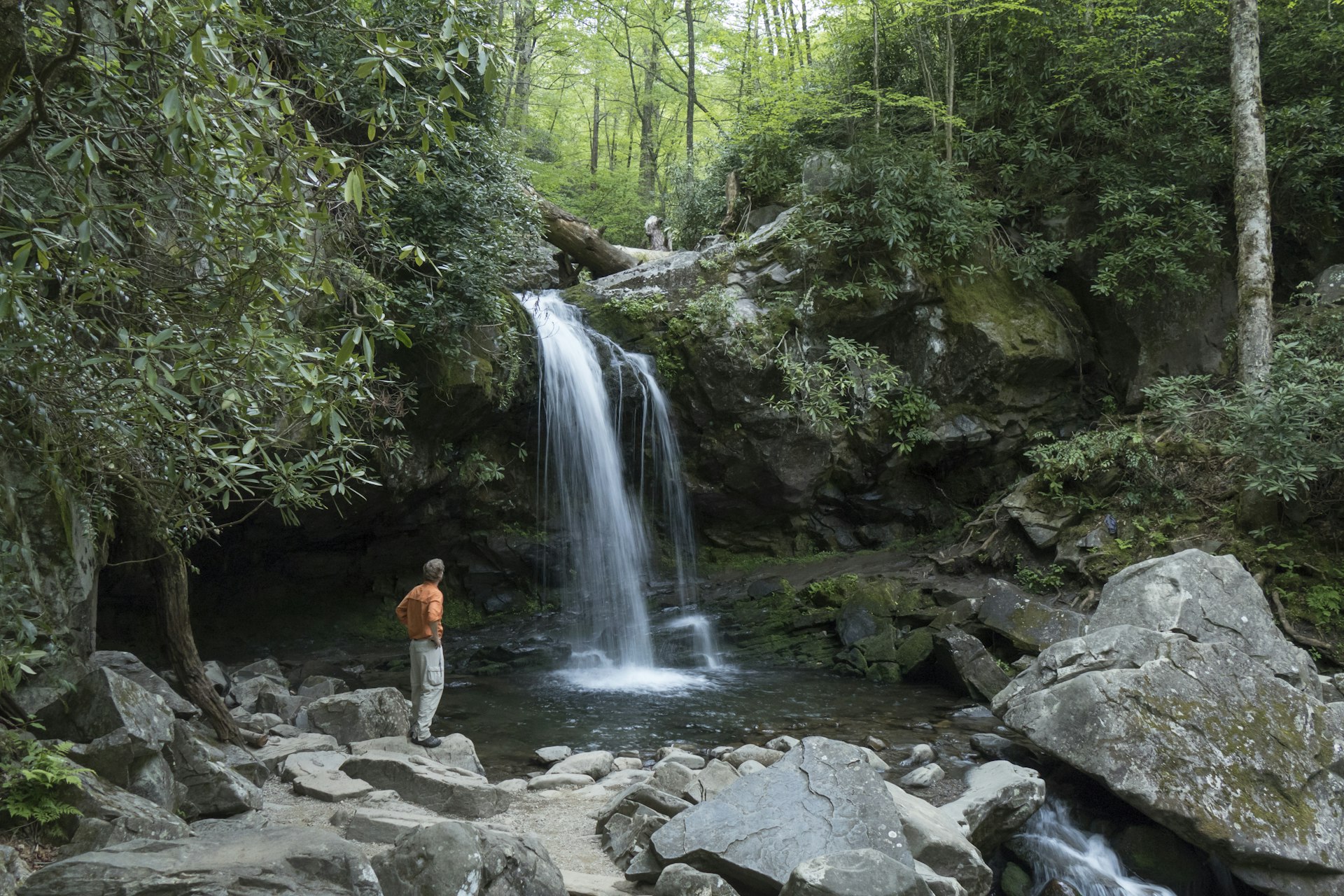A hiker explores the Roaring Fork River and Grotto Falls on the Trillium Gap Trail through the old growth hemlock forest and lush foliage on the steep hillsides of the Great Smoky Mountains National Park in Tennessee.