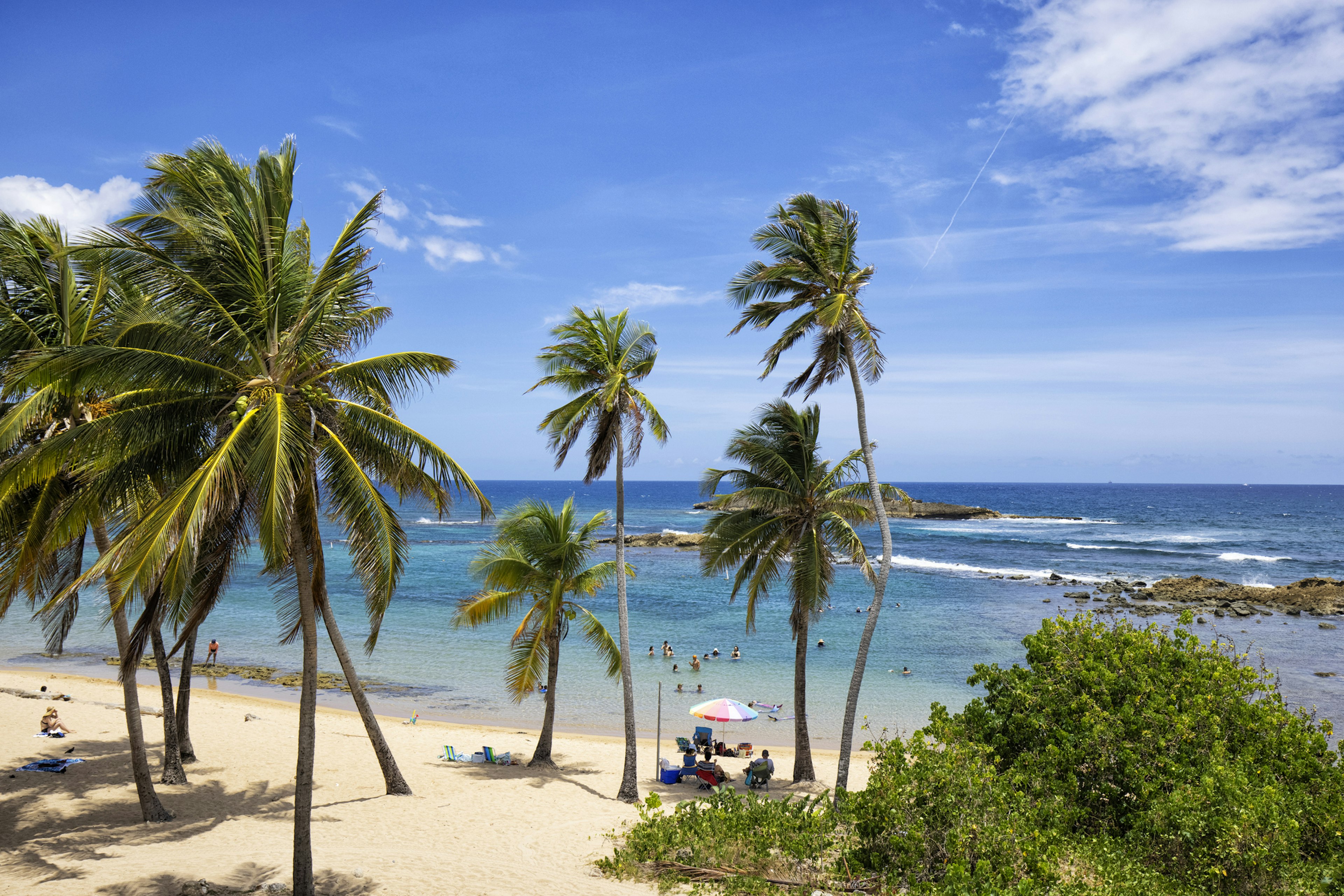 People relaxing under sunshades on a sandy palm-lined beach