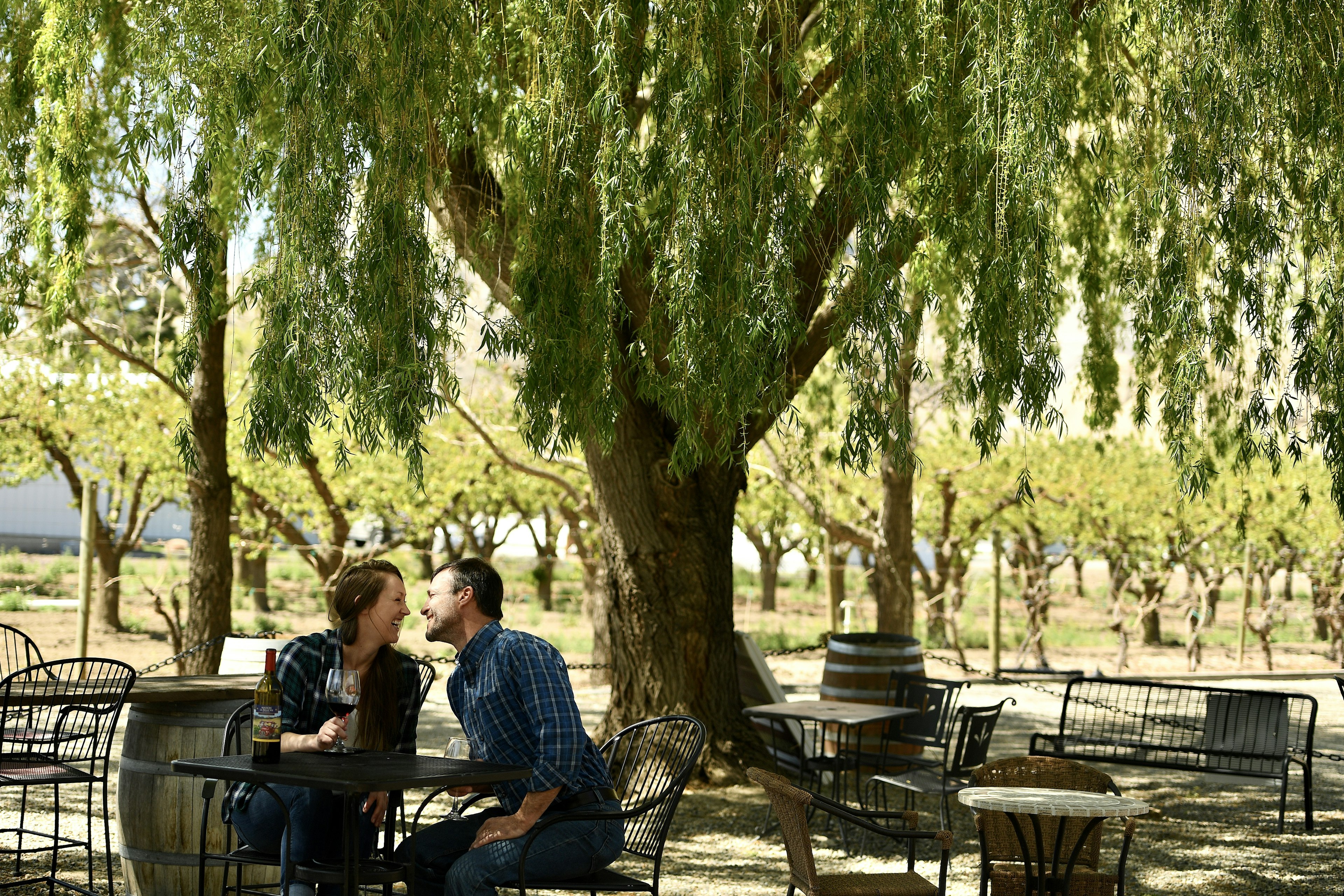 A couple sits in the shade enjoying wine at La Belle Vie winery, Palisade, Colorado, USA