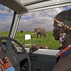 541055724
one person:CB1, guide:CB2, mid-adult man:CB2, travel:CB2, African elephant:CB2, driver:CB2, Masai:CB2, transportation:CB2, Kenyan:CB2, Amboseli Reserve:CB1, Native African ethnicity:CB2