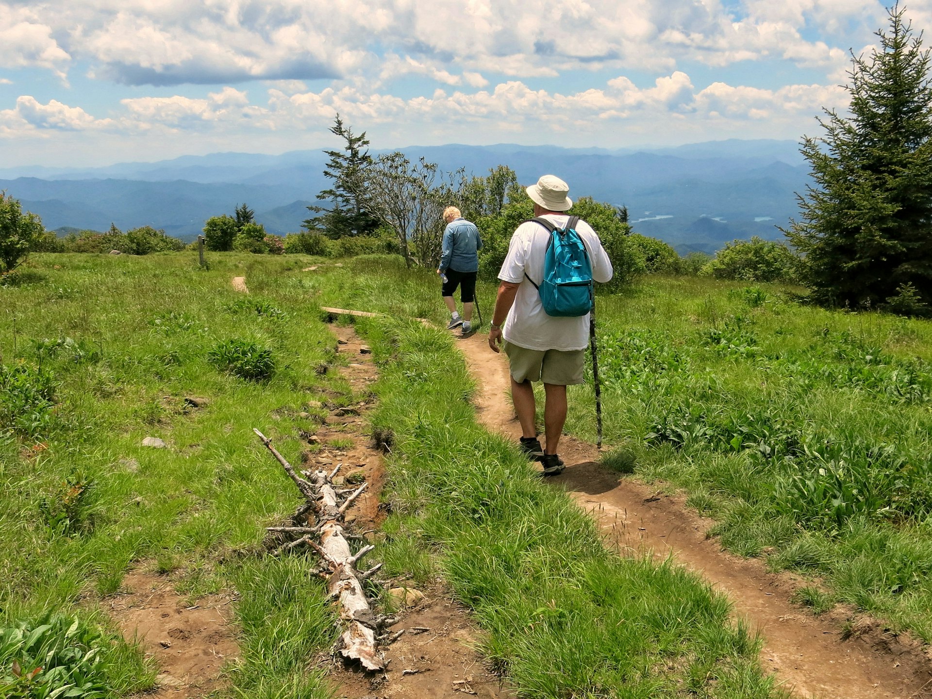 Two hikers walk along a trail 