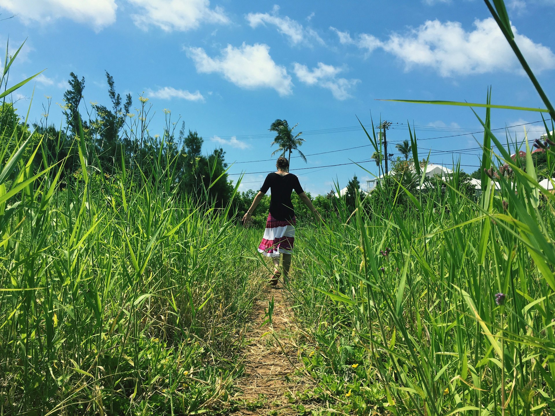 A white woman with blonde hair shot from behind walks through a field of long, thick, green grass in Bermuda