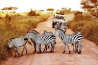 travel routes tanzania