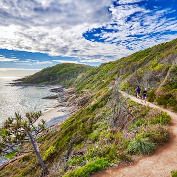People walking the Coast Track in Noosa National Park.

