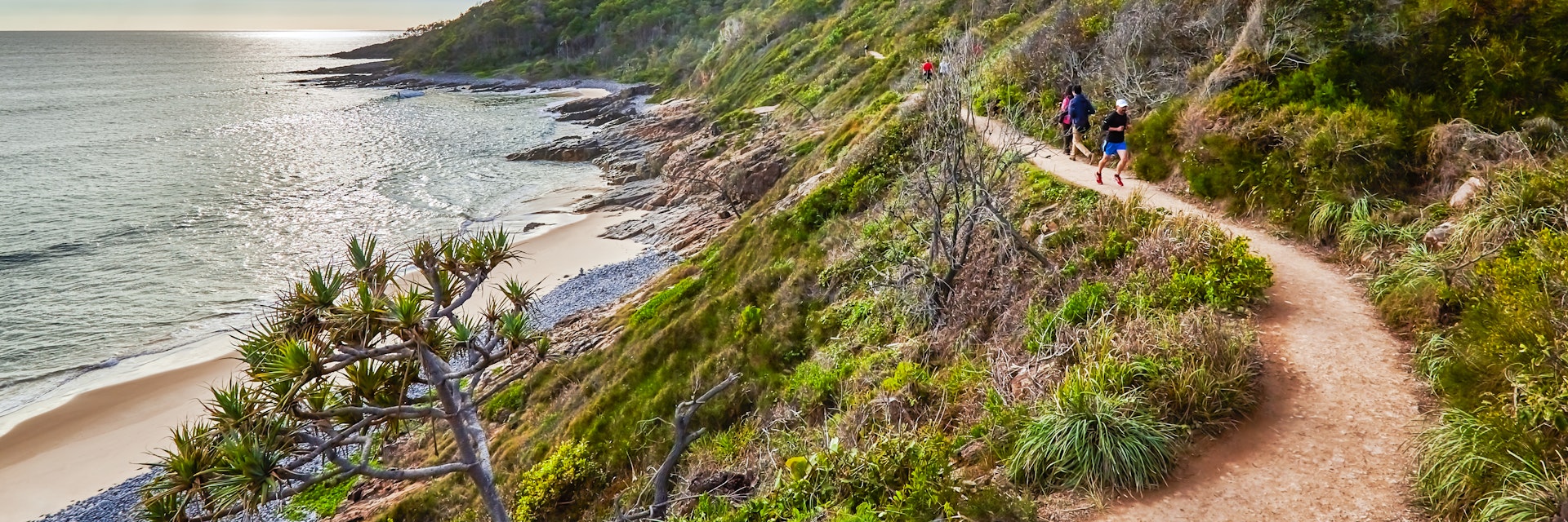 People walking the Coast Track in Noosa National Park.
