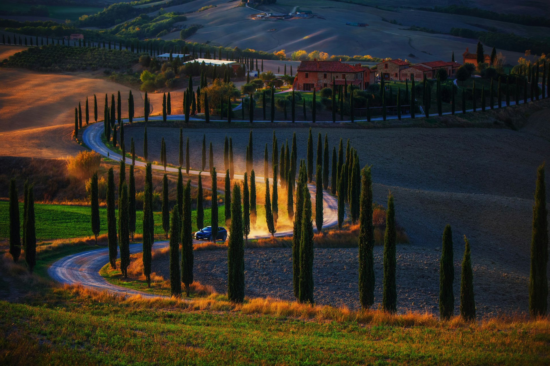 A car drives between the cypresses  trees of rural Tuscany during sunset with its headlights on