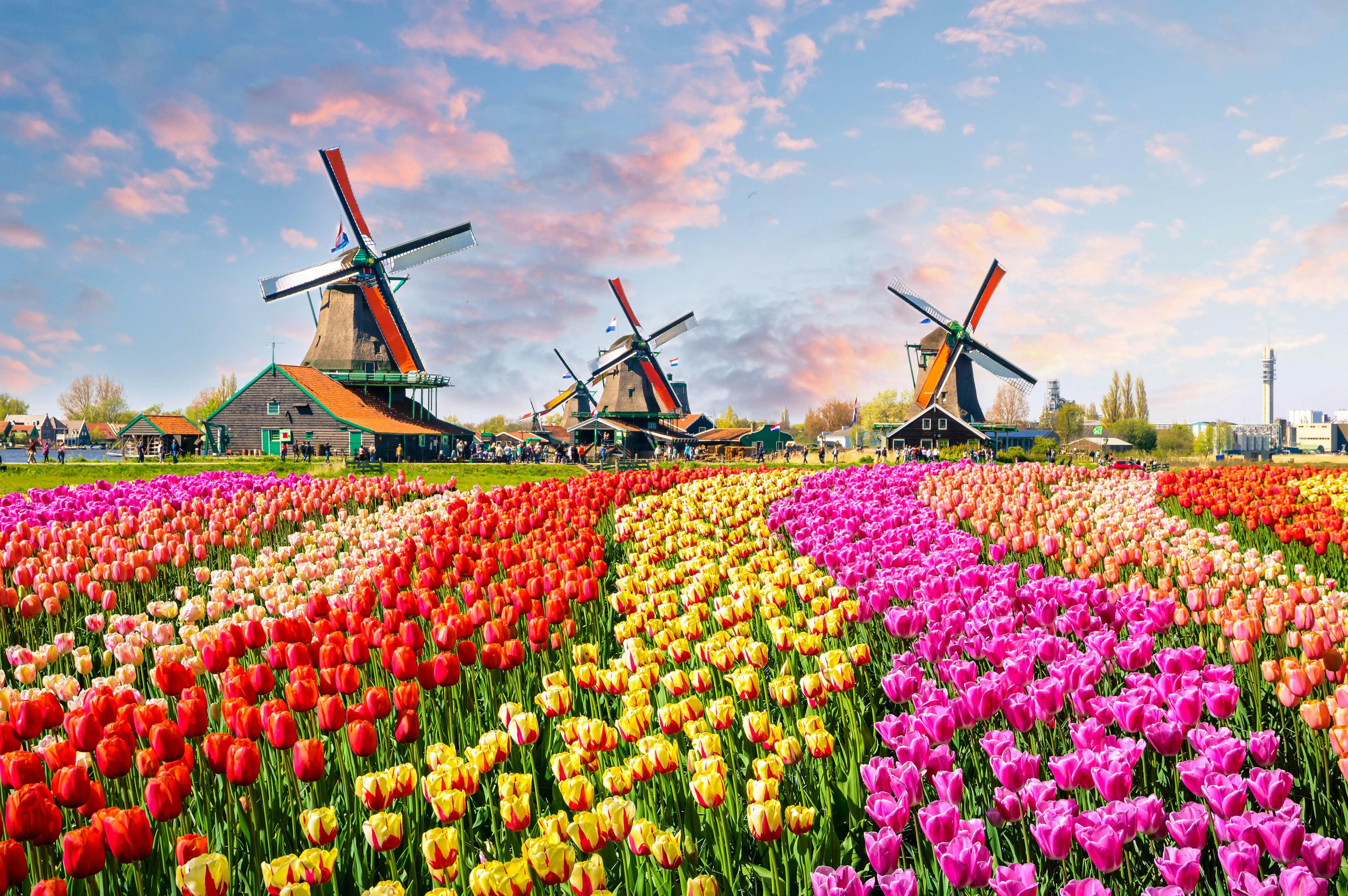 The Netherlands country guide - Lonely Planet | Europe