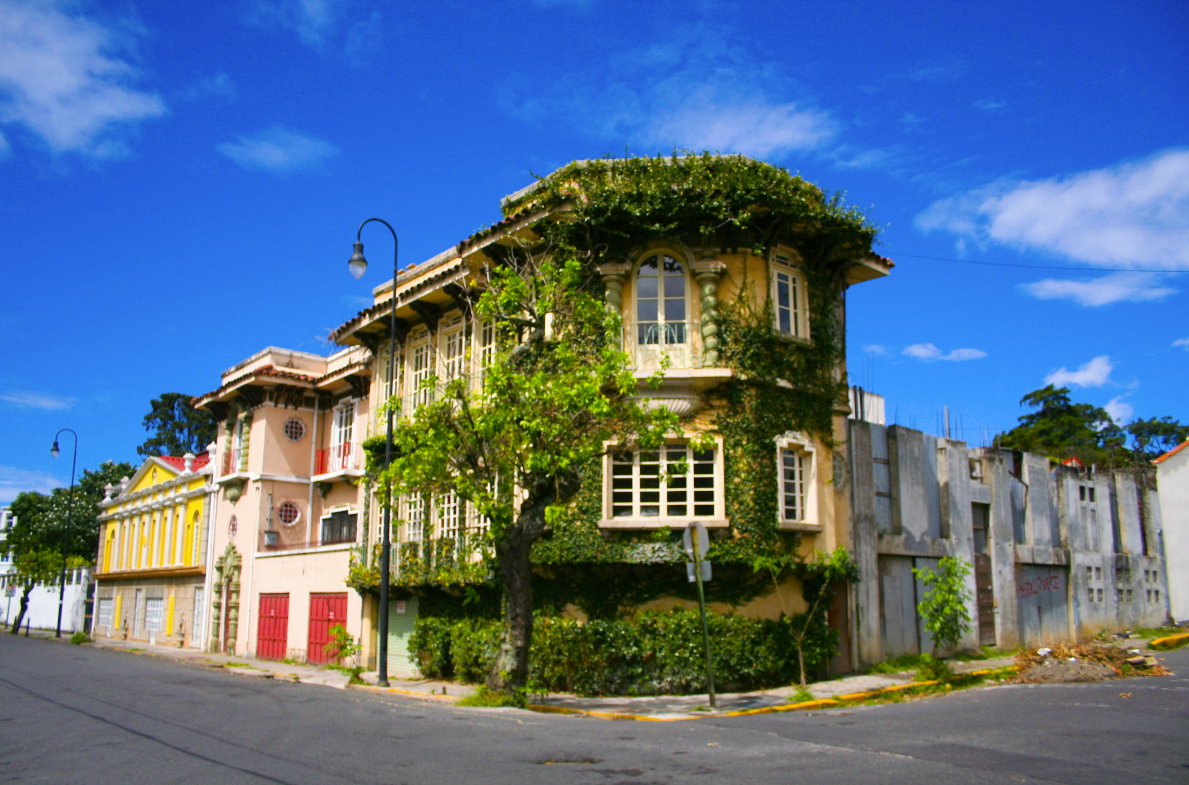 The front of a building covered in greenery