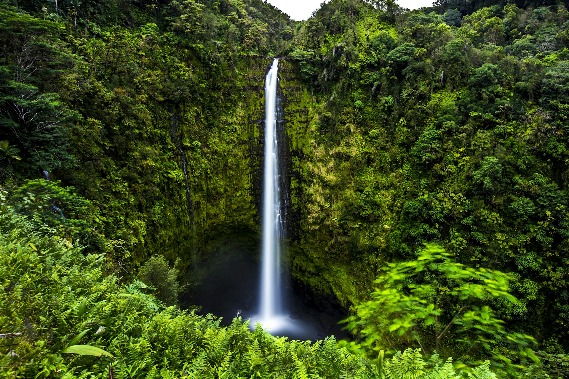 The 422 feet tall 'Akaka Falls thunder down from green hills near Hilo on Big Island, Hawaii and into the large pool below.