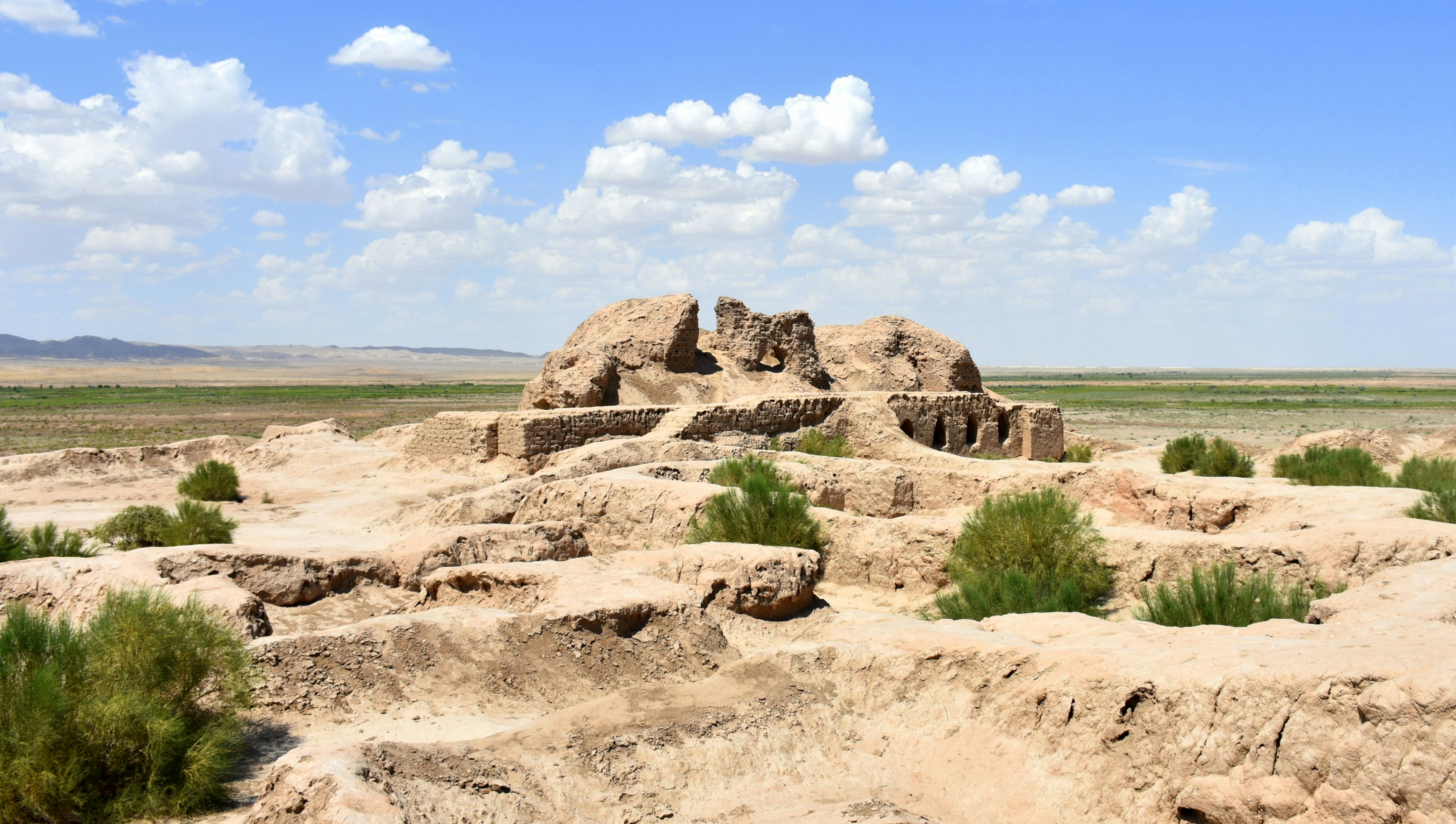 Mud remains of an ancient settlement dotted with green weeds and an open desert beyond