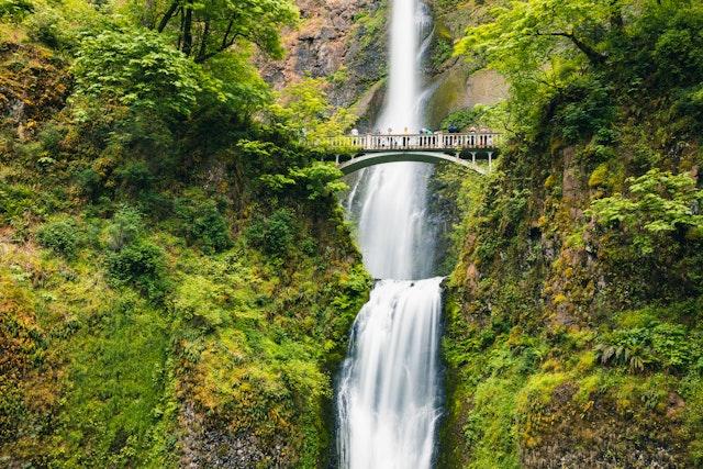 Visitors on a bridge at Multnomah Falls.