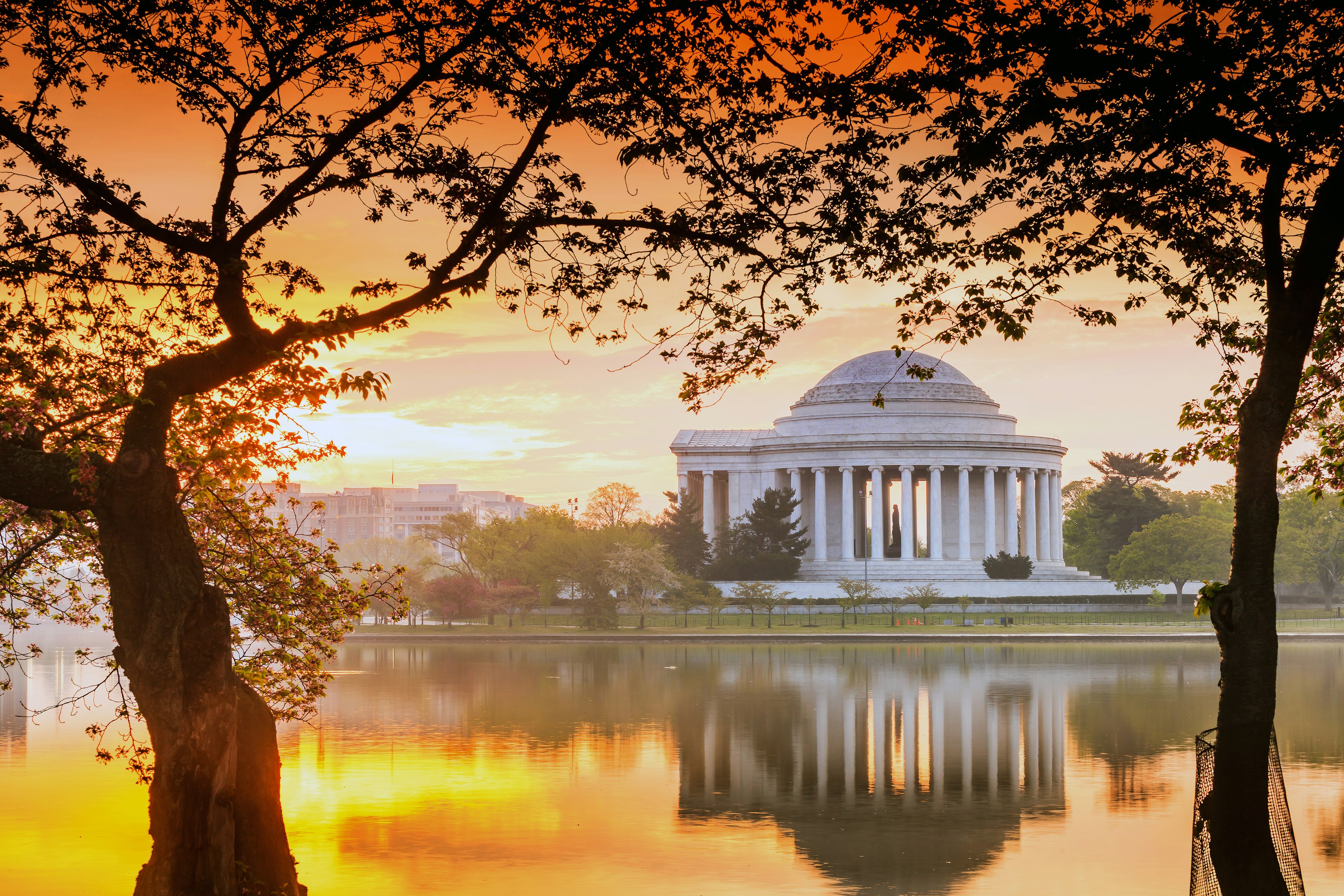 The Jefferson Memorial at sunset seen through some trees during the Cherry Blossom Festival in Washington, DC