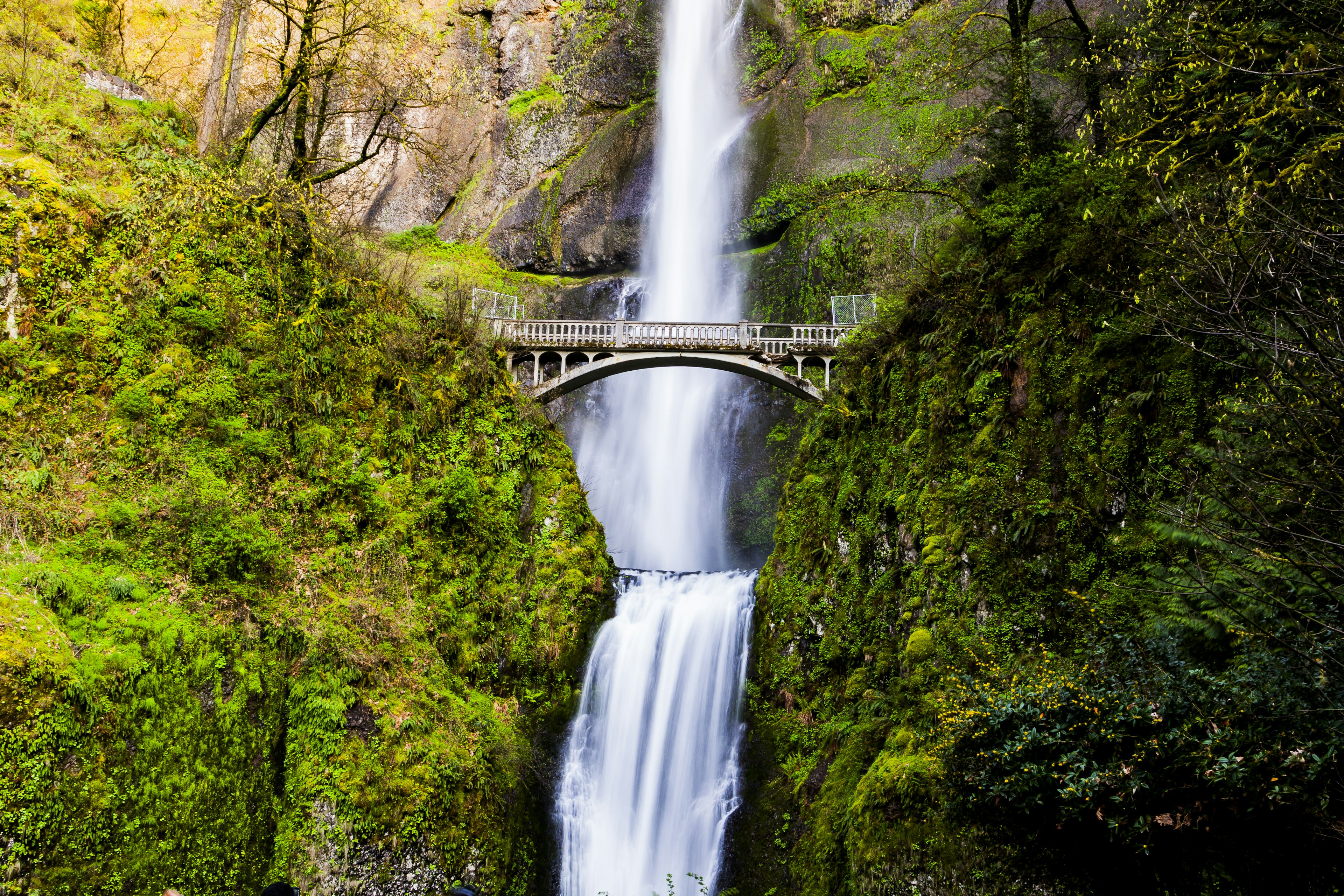 Scenic view of Multnomah Falls in Oregon