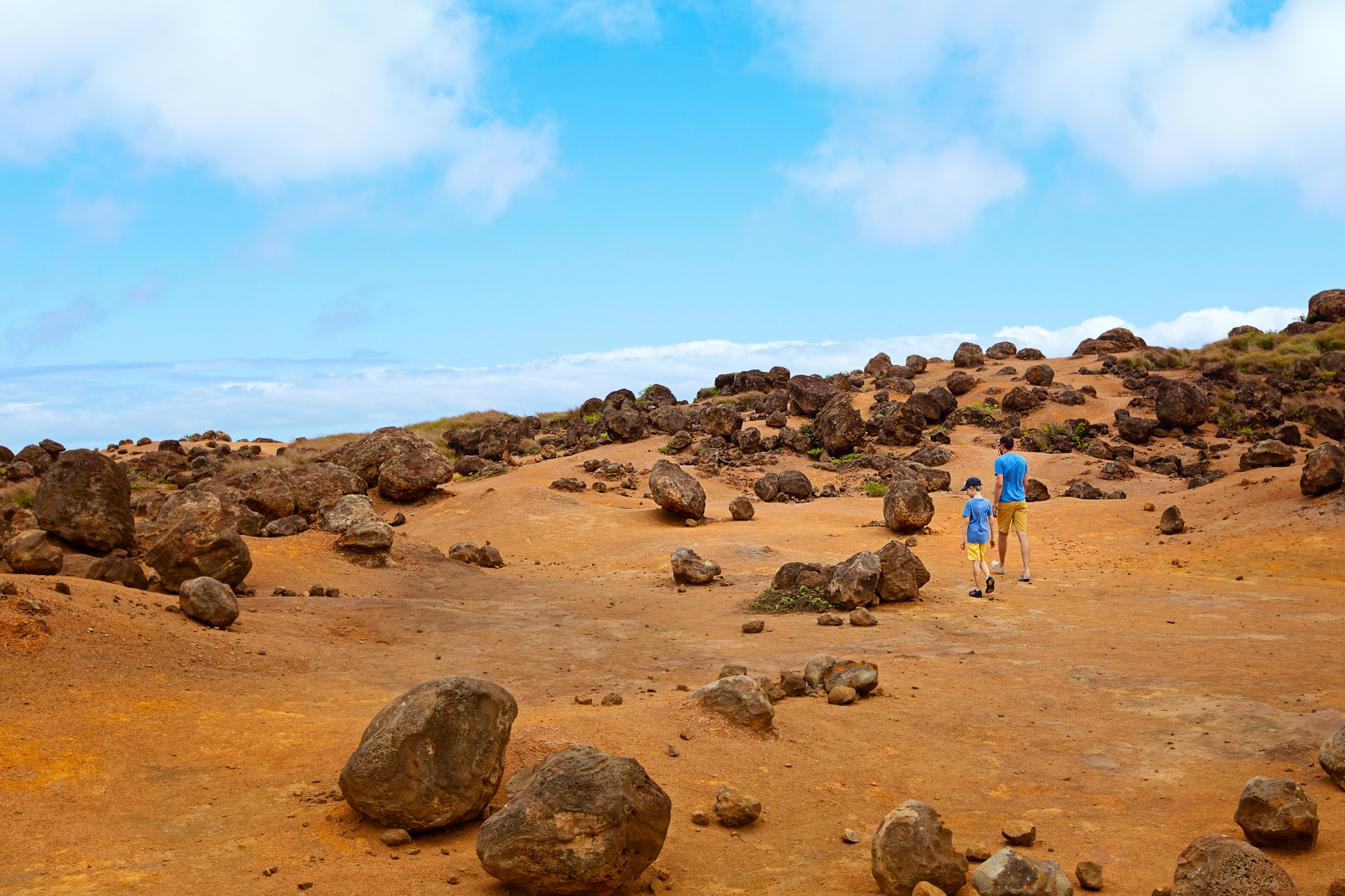 A father and son walk hand in hand through a red, sandy landscape