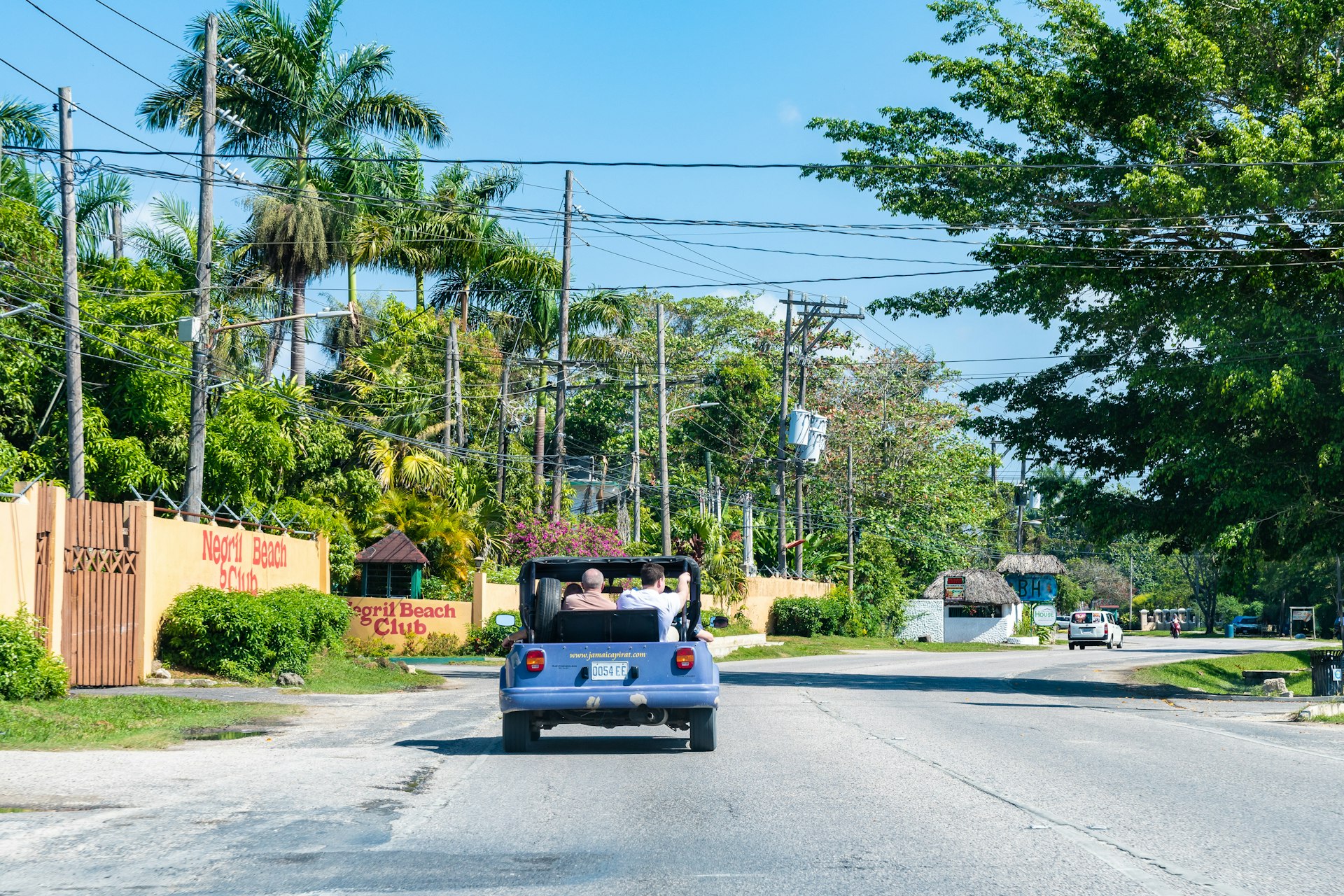 An open-top car drives along a palm-tree lined road